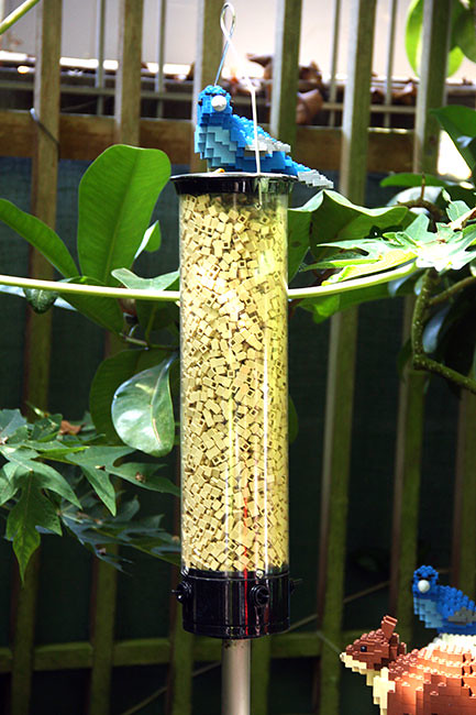 Bird-feeder