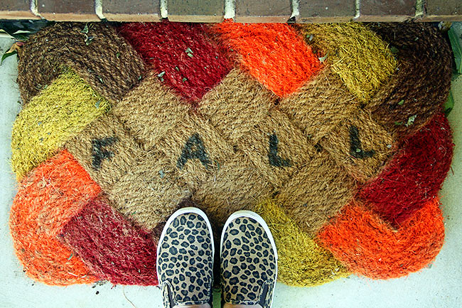 Door-Mat