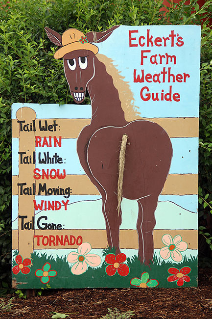 Cute-Sign