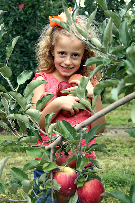 Aut-hiding-behind-apple-tree