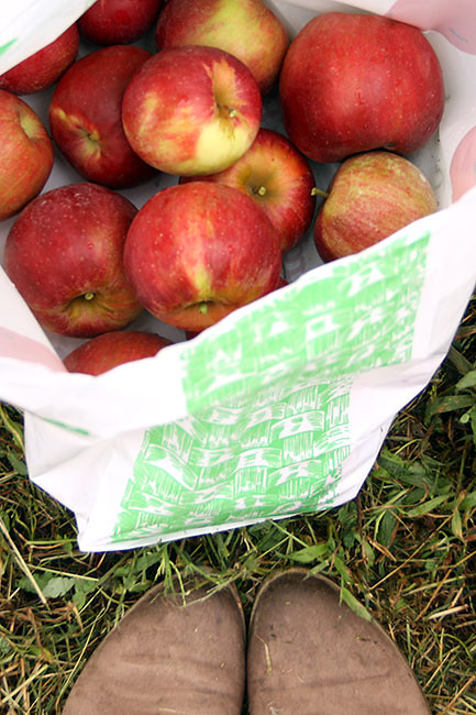Apples-and-Boots