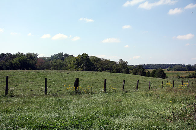 Field