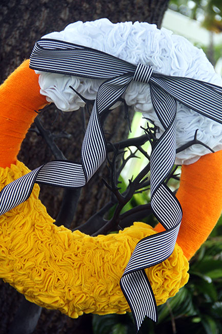 On-tree_close-up