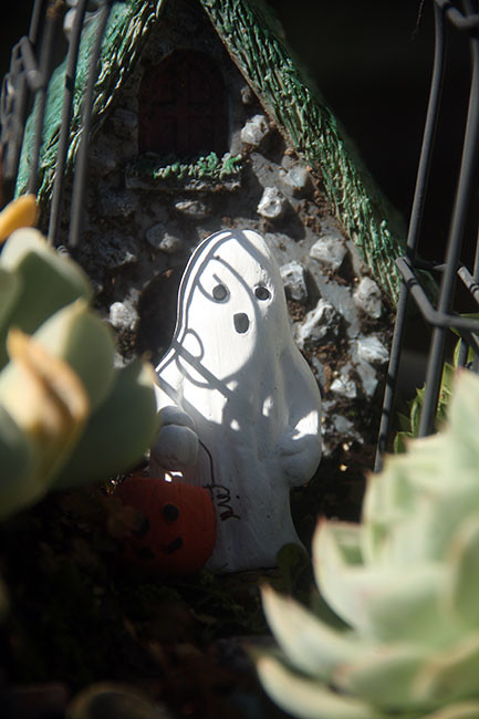Fairy-Garden-Ghost