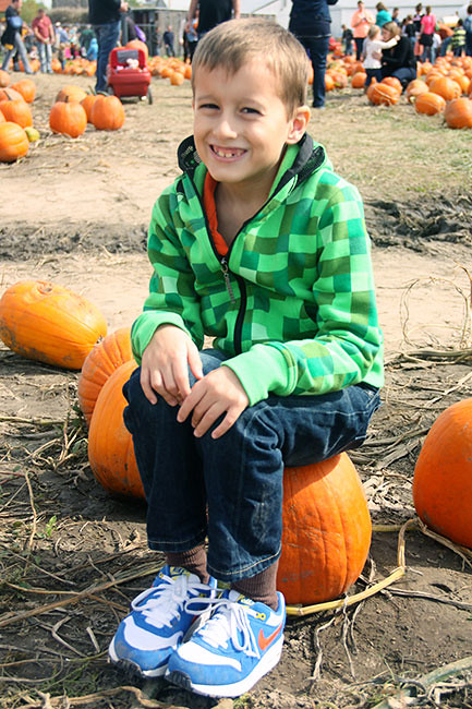 Nat-on-a-pumpkin