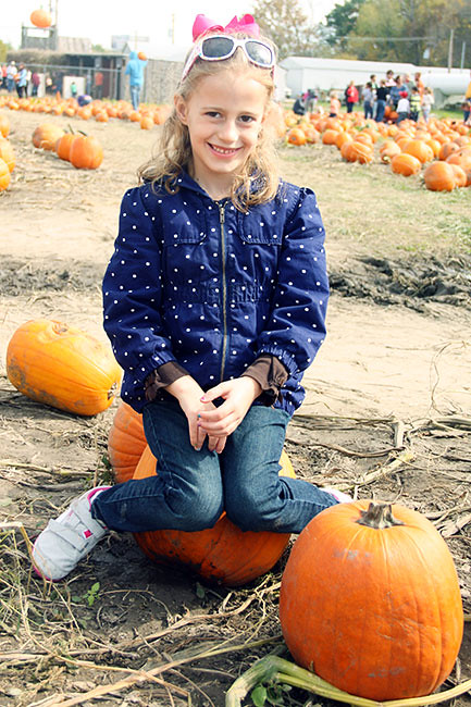 Aut-on-a-pumpkin