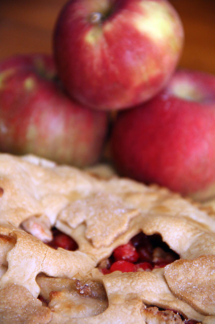 Close-Up-of-Filling