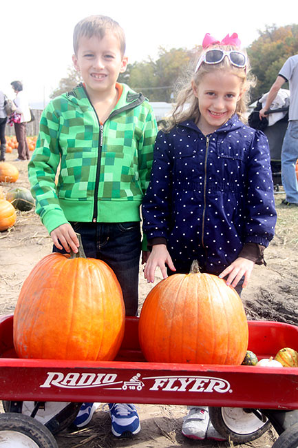 Kids-Pumpkin-Patch