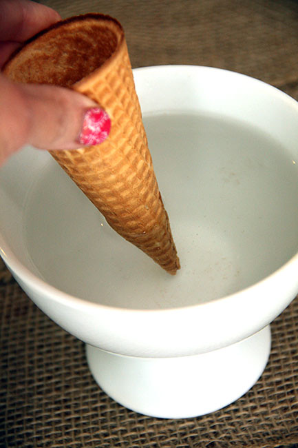 Cone_In-warm-water