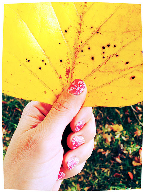 Jamberry-Review-Photo