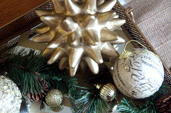 Gold-Tray_Close-Up-Spike-Ball