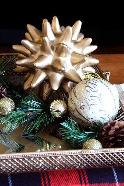Gold-Tray_Close-Up-Spike-Ball2