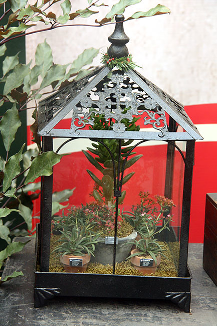Herb1