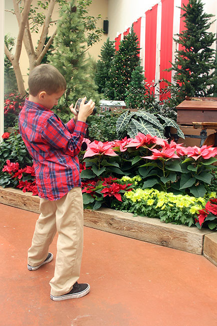 Nat-Taking-Pics
