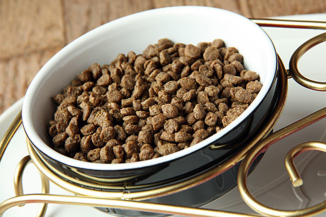 Close-up-of-food