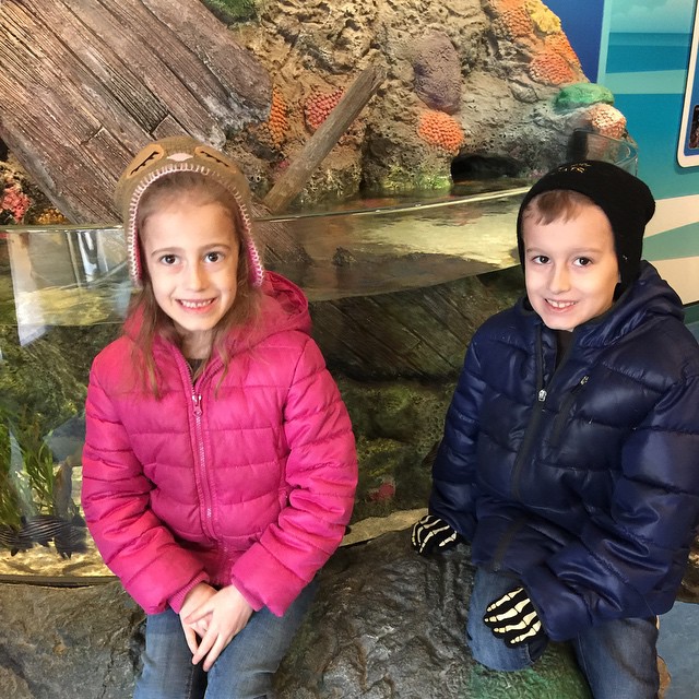 Spent the morning at Sea Life, the Kansas City aquarium. Kids really enjoyed it!! Now we are waiting for Brian to wake up from his nap 😂 so we can hit the pool!! Also, the forecast changed overnight... They are now calling for a BLIZZARD in St. Louis