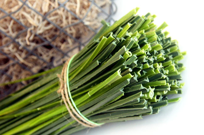 Do_Cut-monkey-grass