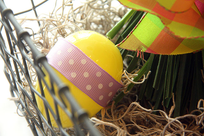 Close-Up-Eggs_Yellow-Egg