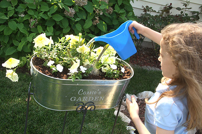 Aut_Watering
