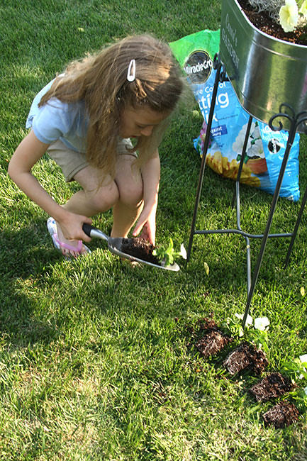 Aut_Plant-on-shovel