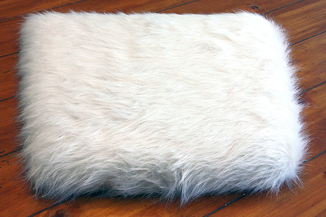 Cushion_done