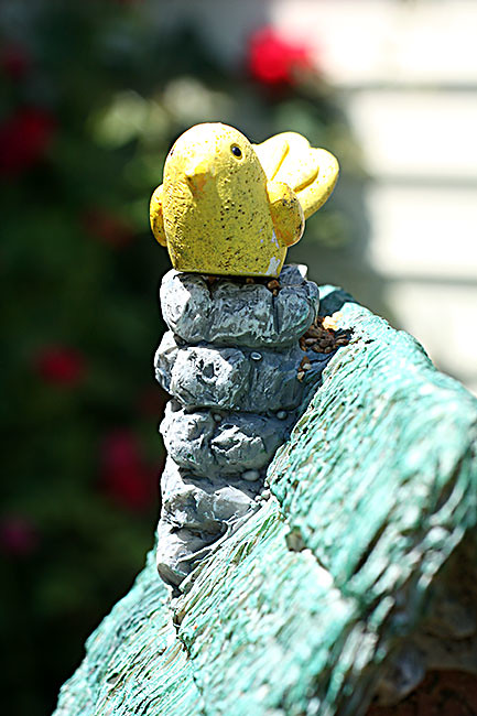 Birdie