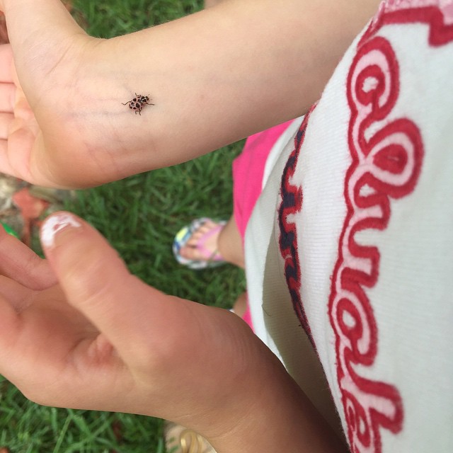Bye, bye 💗pink💗 lady! 🐞🐞🐞 #ladybugfarm #ladybug