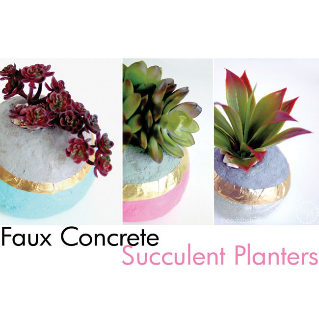SucculentConcrete_650