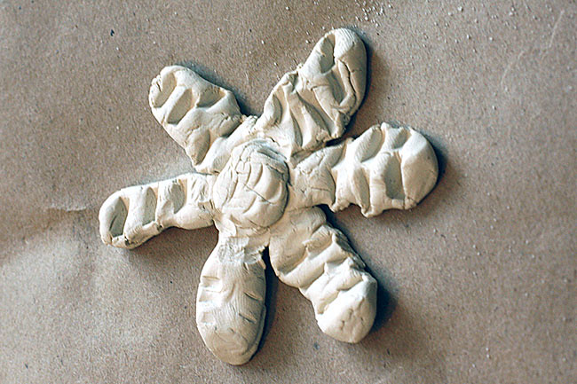 NatProj1_flower