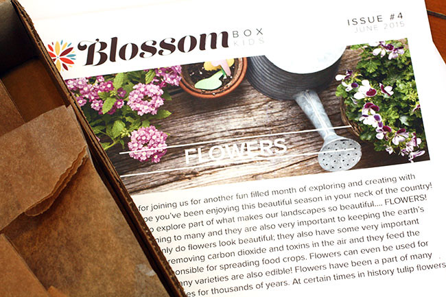 FlowerBox_Newsletter