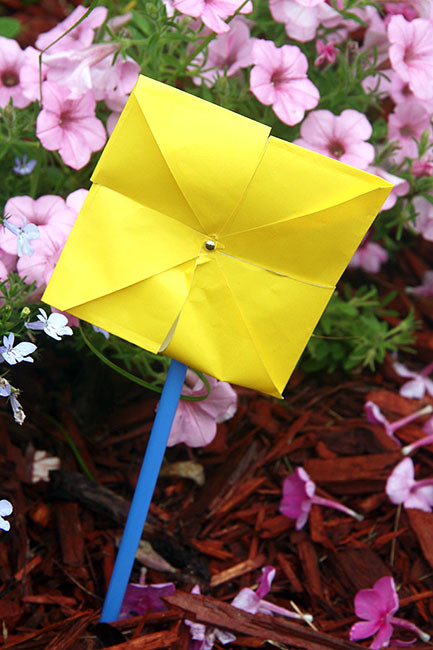 Pinwheel-Nat_pinwheel