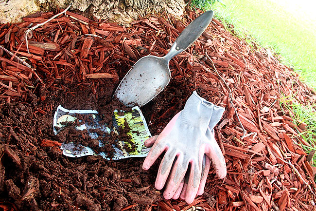 Planting