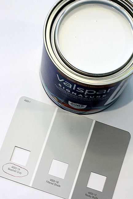 Paint