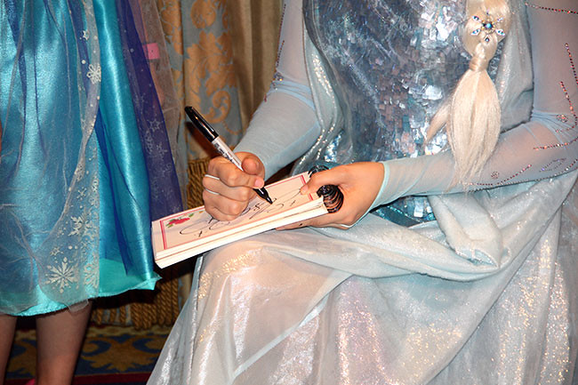 Elsa3