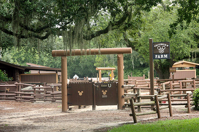 WildernessResort1