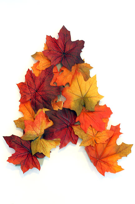 Create_Leaves-on-A