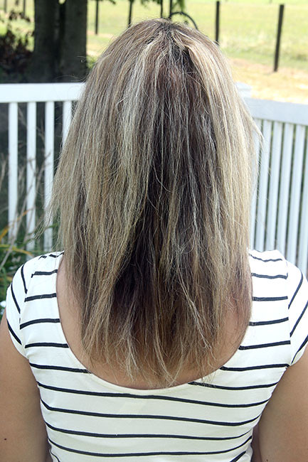 Back-NoExt