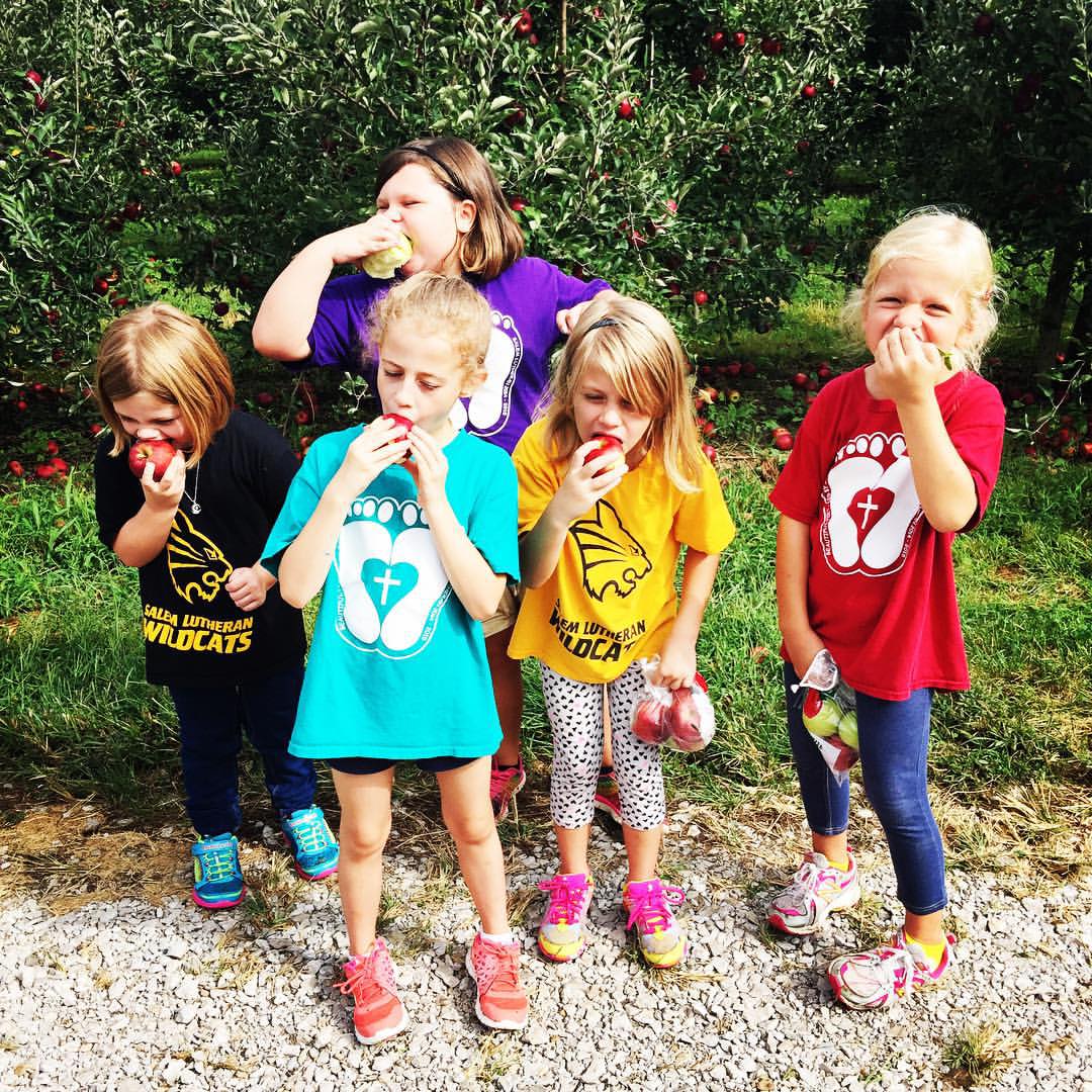 Autumn had a field trip today and I caught them all eating their delicious 🍎🍏's. I can't wait to start baking!! Yum!