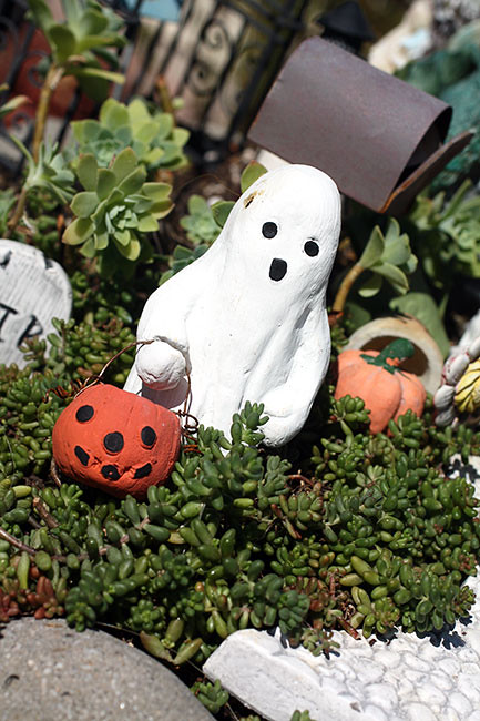 FairyGarden3
