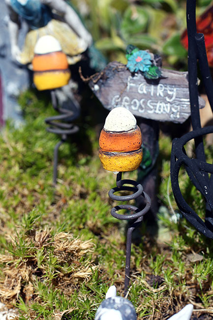 FairyGarden1