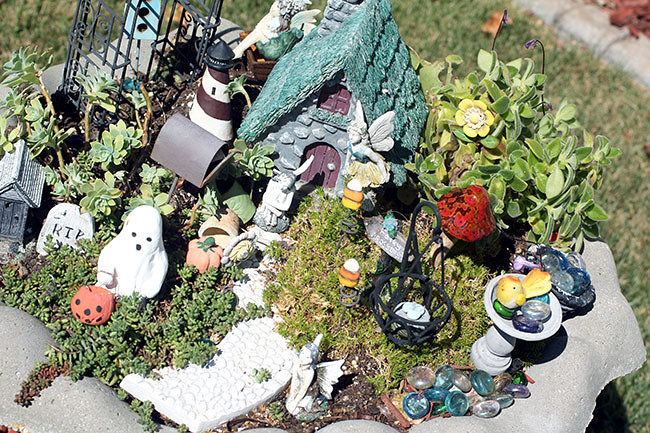FairyGarden4