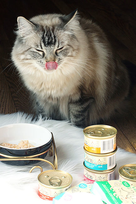 Licking-Good