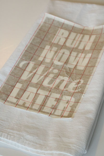 DishTowel8