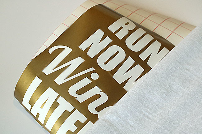 DishTowel5
