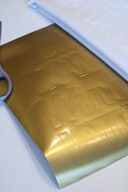 DishTowel4