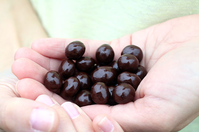 Hand_Blueberries