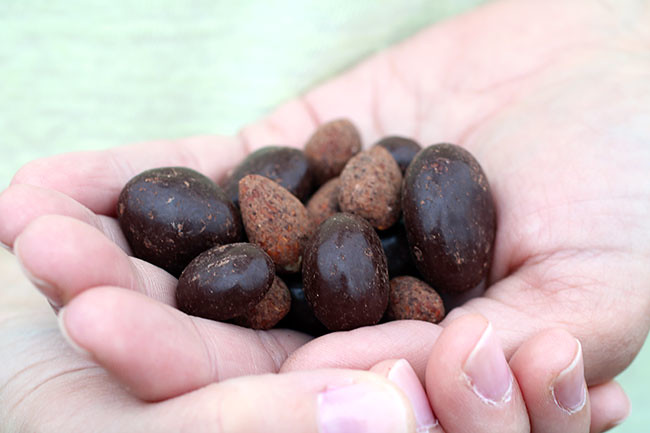 Hand_StrawNuts