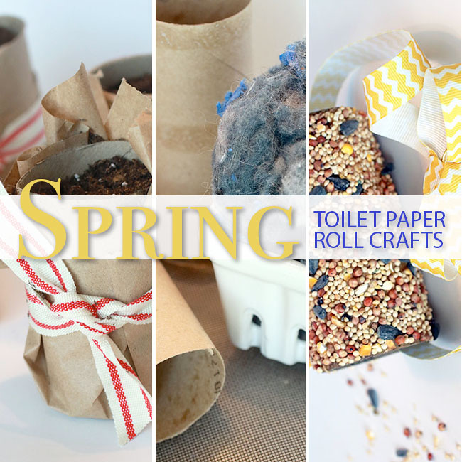 Spring-Toilet-Paper-Crafts