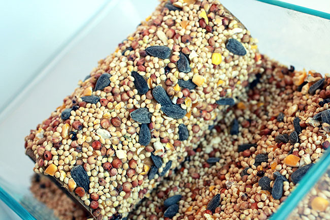 BirdSeed2
