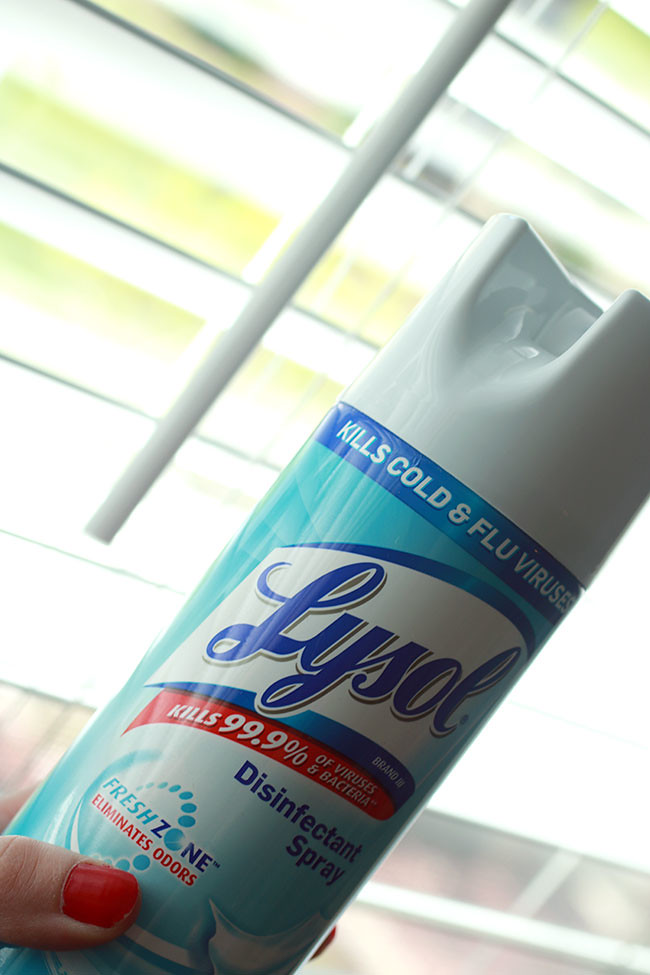 Kitchen10_Lysol